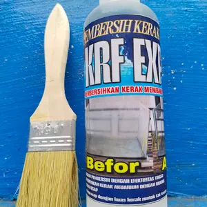 PEMBERSIH KERAK AQUARIUM KRF EXPERT