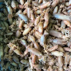 CUMI BALITA REBUS LAUT SUPER ENAK KERING