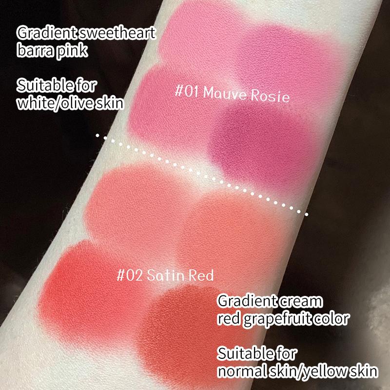 Lipstick Four-color Lip Gloss Matte Velvet Lipstick set 2