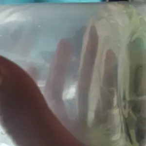 mystery box Channa anti zonk menarik