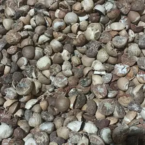 Karung Plastik 60x100 Gabah 50kg - Produk Baru