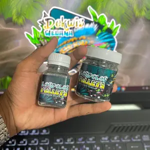 LOSPOLOS PELET auranty dorsal polos by Dekwis Wedana