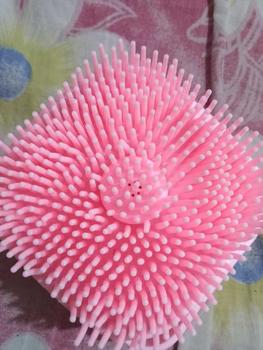 Product Review of Sikat Mandi Dispenser Silicon /Shower Brush Silicon / Sikat Silicone Lembut Dispenser Sabun Mandi   Silikon from s**a 0