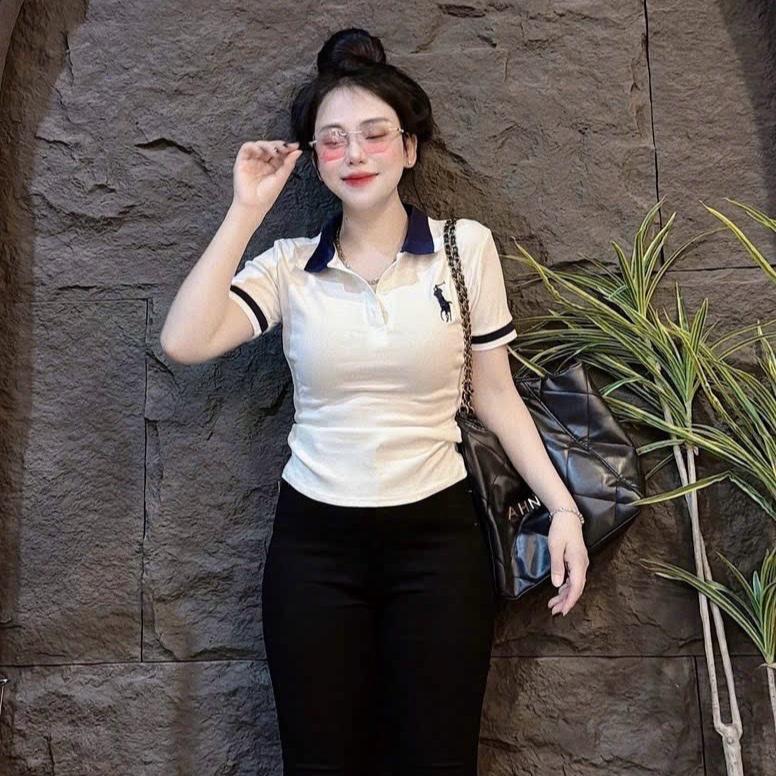 | A314| - áo thun nữ babytee from ôm body , dươi 56kg [  Áo trụ thêu] borrip, co giãn,  Cổ Tròn Women Top Nhun aothun  thaibd thông thường áo vàng cổ thuyền áo polo