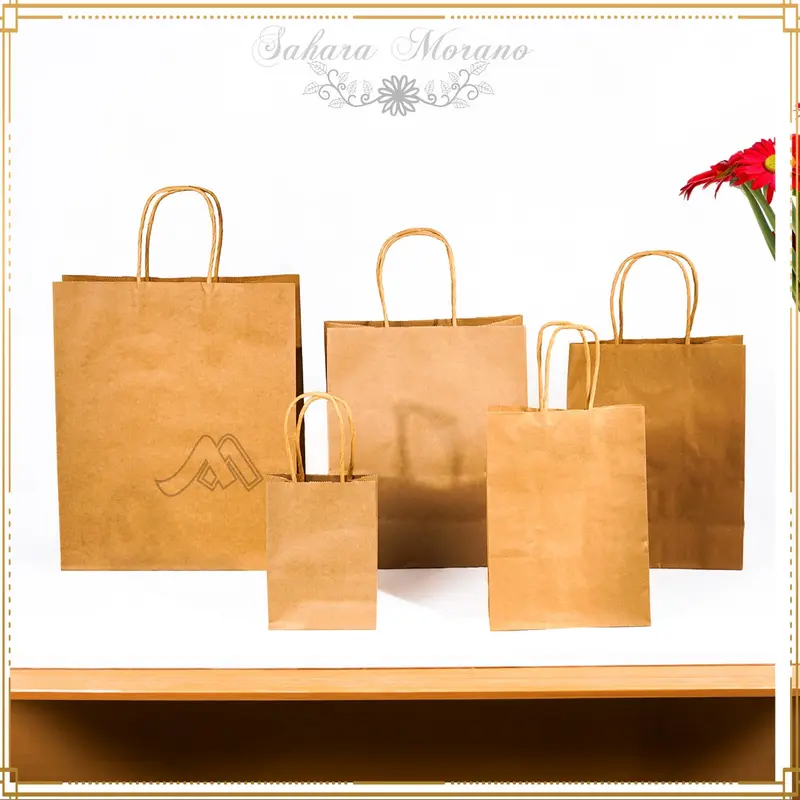 5 Pcs Paper Bag Tas Souvenir Paper Craft Goodie Bag Tas Belanja 0