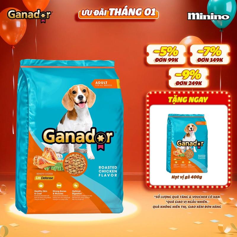 Thức ăn hạt Ganador cho chó vị Bò Gà nướng 3kg