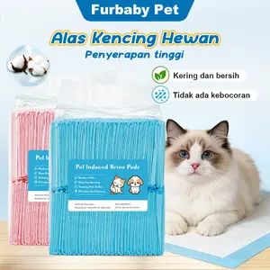 1 Paket Pad Pipis Kucing Underpad Kucing Anjing Tatakan Kucing Alas Pipis Kucing Murah Dog Training Pads