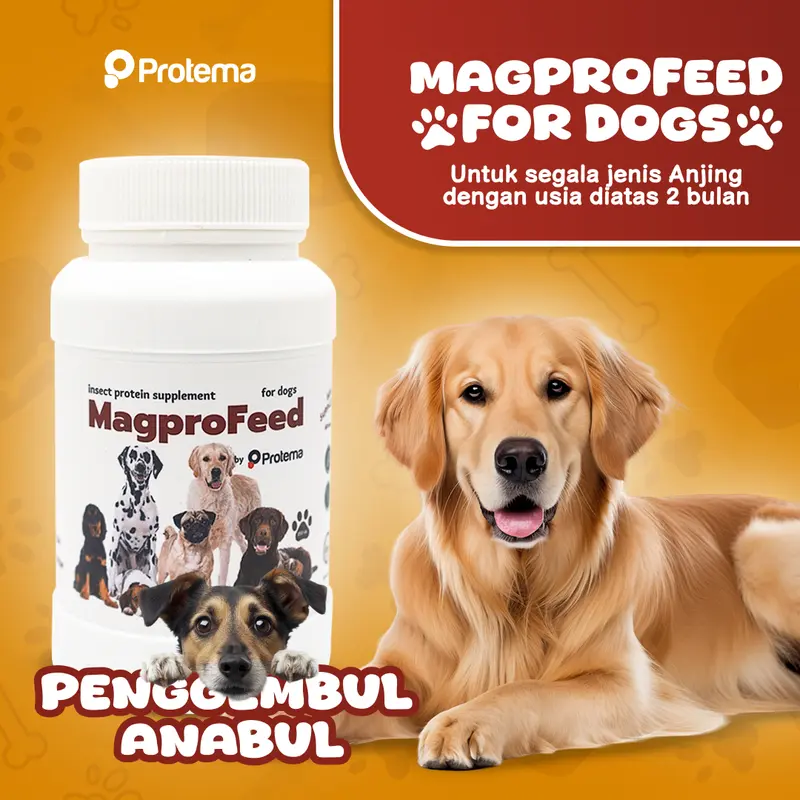 [EXTRA JUMBO] MAGPROFEED - VITAMIN ANJING 625GR | Penggembul Anabul, Boost Penambah Nafsu Makan, Melebatkan Bulu, Cegah Kerontokan 3