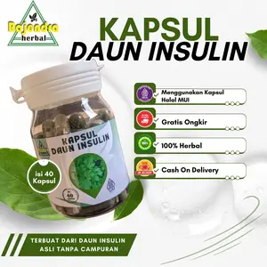 Kapsul Daun Insulin Rajendra Herbal Asli Menurunkan Gula Darah