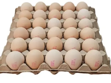 Fresh Kampung Egg 30piece/tray