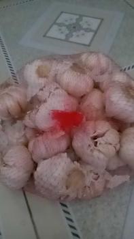 Product Review of BAPUT KATING 500GR 1 KG  BAWANG PUTIH KATING FRESH from S**n 0