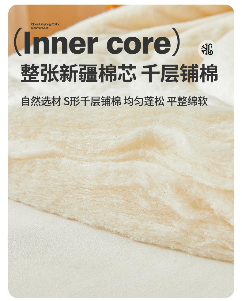 Product Introduction of 2025 new style without printing  Washing Cotton Xinjiang Cotton Quilt Summer Summer Cool Air Conditioning Quilt 13
