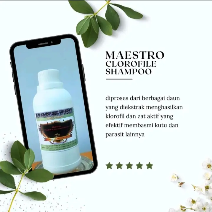 maestro chlorifile shampo (shampo khusus untuk burung)