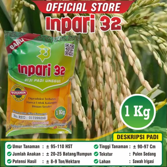 Benih Padi Inpari 32 Best Seller Terbaru