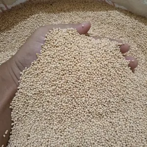 Milet Putih Kiloan 1Kg Pakan Burung Lovebird Falk Parkit Dll - Produk Pakan Burung Berkualitas Tinggi