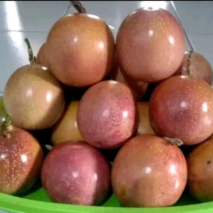 Buah Markissa merah / markisa madu asli buah segar fresh 1kg