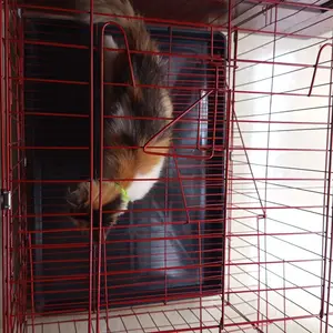 KANDANG KUCING ANJING KELINCI 60X42X50 SIZE L BESI TEBAL -Tingkat