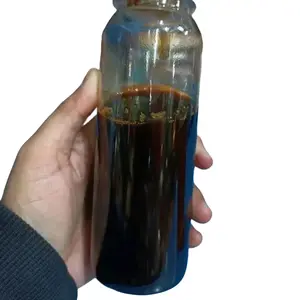 OBAT KETAPANG CAIR KETAPANG STEWARTI PENYEMBUH IKAN CHANA UKURAN 4-5CM