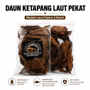 DAUN Ketapang Pekat Untuk ikan channa cupang koki koi arwana dan semua ikan celup merah