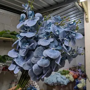 Anggrek Latex Premium Harga Lusinan Bunga Dekorasi Murah