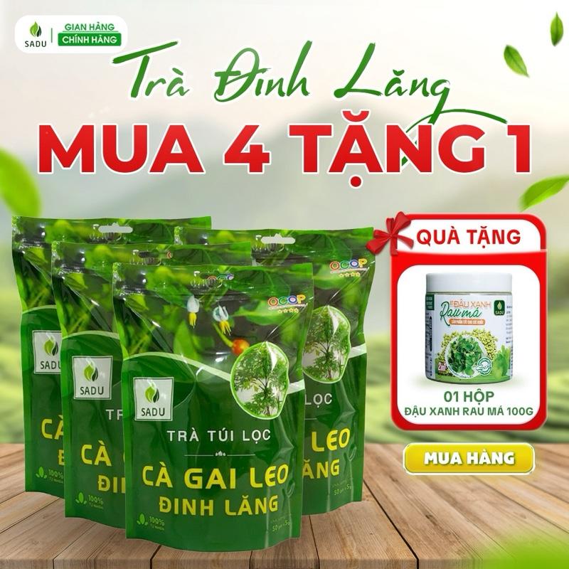 TẶNG HỘP 100G ĐẬU XANH RAU MÁ 1KG TRÀ  CÀ GAI LEO ĐINH LĂNG Hữu cơ Tea Chè Nước Trà - hỗ trợ an thần ngủ ngon