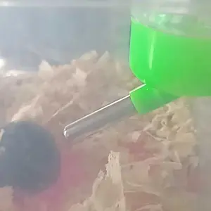 Botol Minum Kelinci Hamster 250mL Tempat Minum Kelinci Botol Dot Minum Kelinci Hamster Kucing