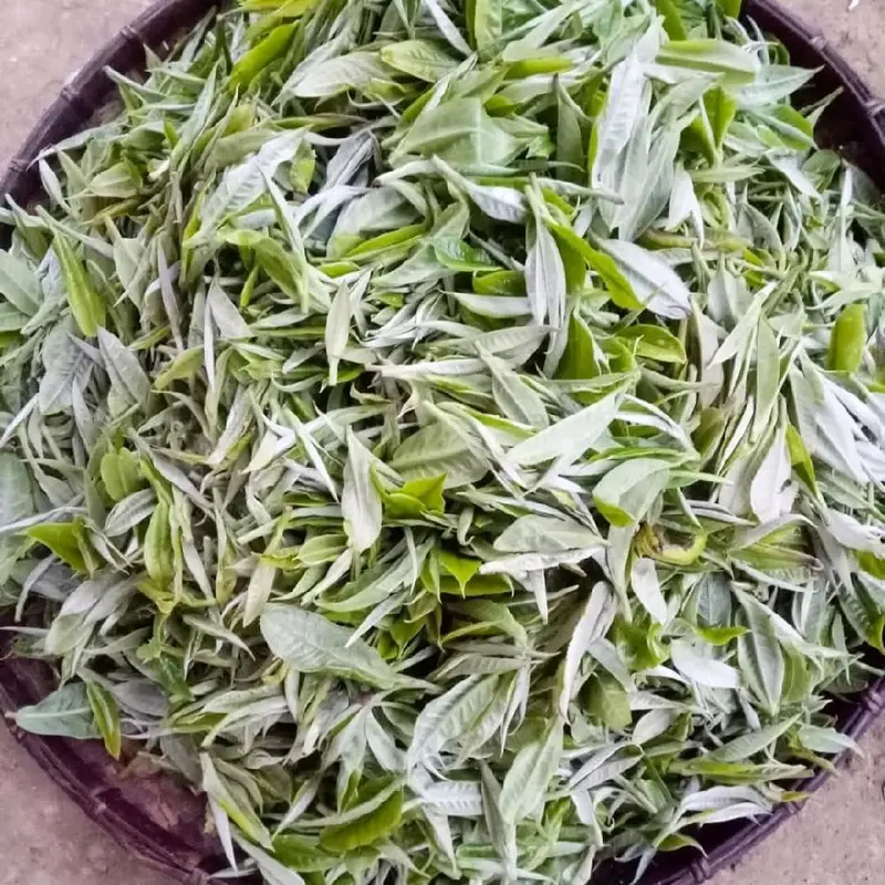 Trà : chảo gang :500g thơm ngon đậm đà (600k) trà ngon. 2