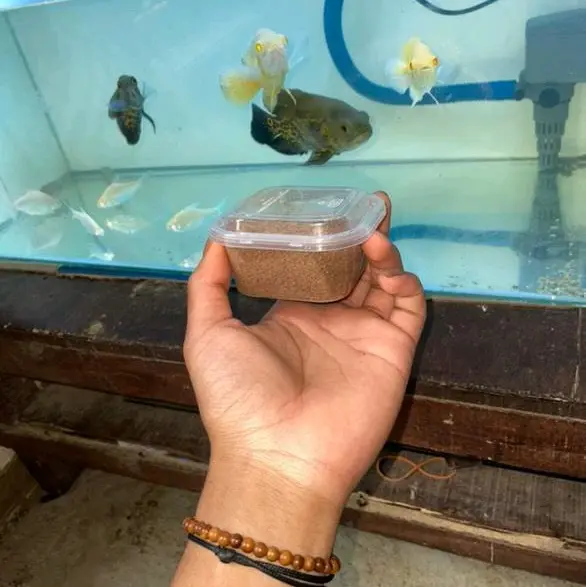 umpan mancing nilem,wader,tawes,nila paling ampuh Ikan Pancing 1