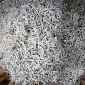 IKAN TERI NASI MEDAN UKURAN SEDANG  SUPER