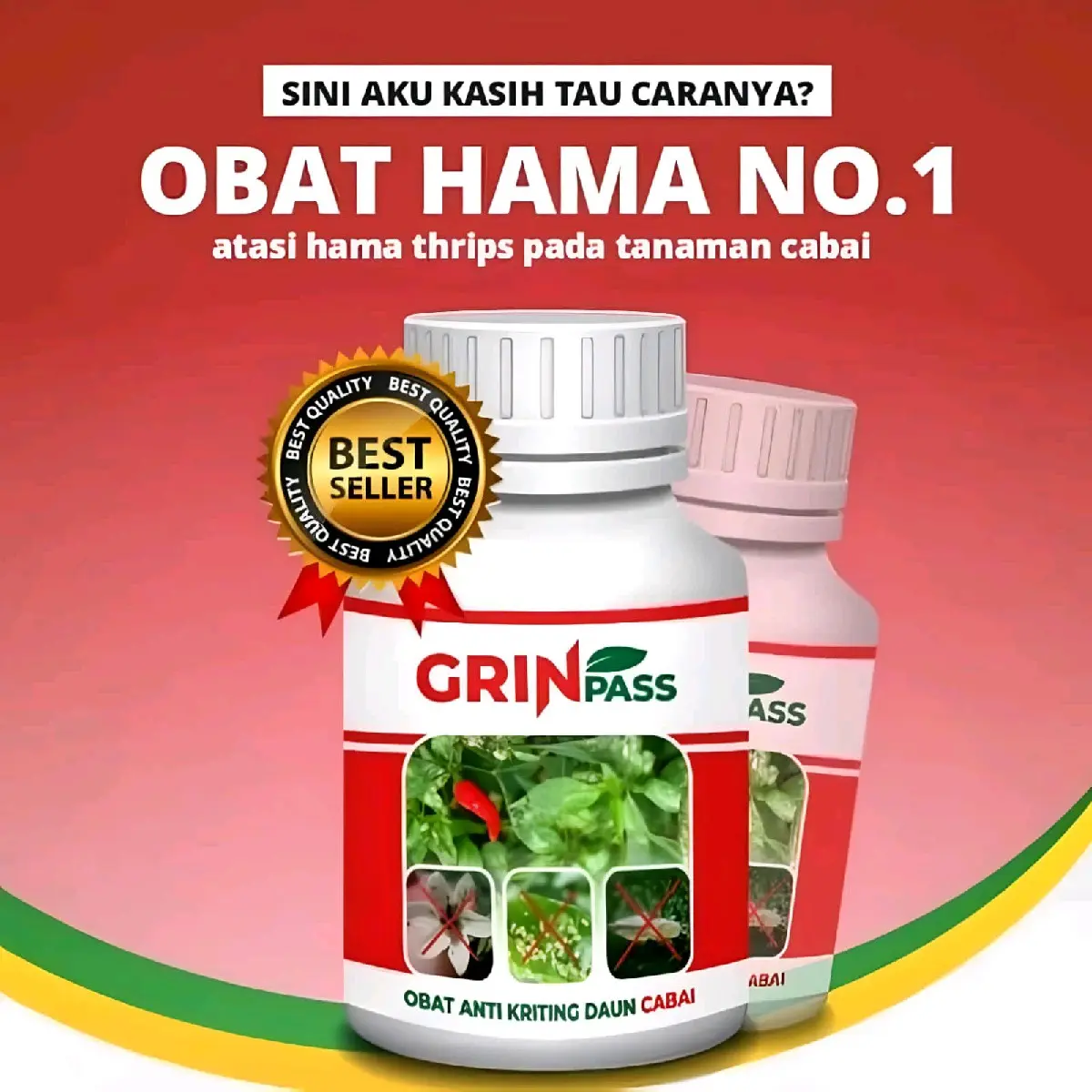 GRIN pass obat hama dan anti kriting daun cabai Tanaman