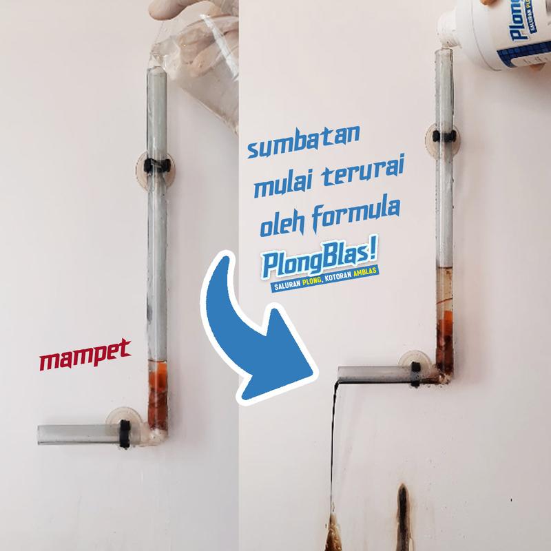 PlongBlas! Anti Sumbat 1 KG untuk Saluran Mampet & WC Mampet 2