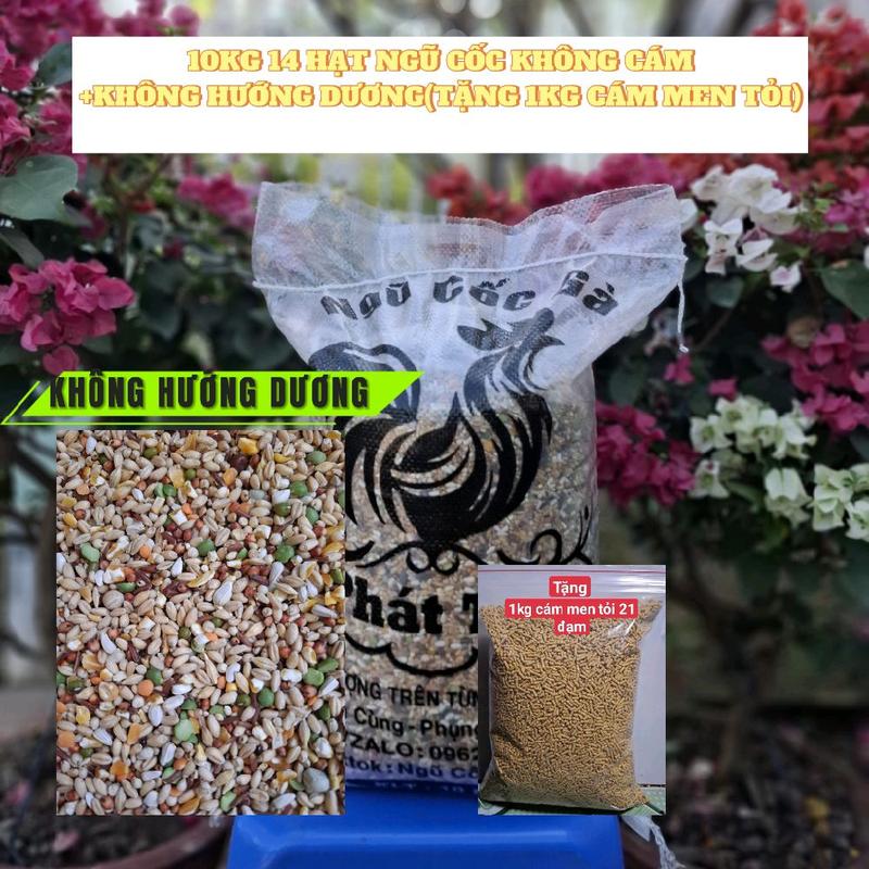  10KG NGŨ CỐC GÀ 14 HẠT KHÔNG  CÁM.TẶNG 1 KG CÁM MEN TỎI CHO GÀ. KHÔNG HƯỚNG DƯƠNG  