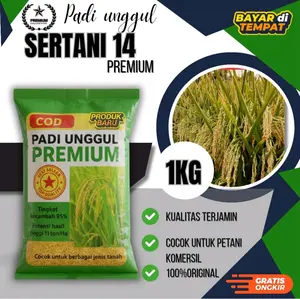 benih padi sertani 14 original 1kg