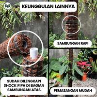 Gambar Workplant - Turus Moss Hitam Bisa Disambung Untuk Penyangga Dan Rambatan Tanaman Hias - Bagian Bawah dari workplant official Kota Surabaya 5 Tokopedia