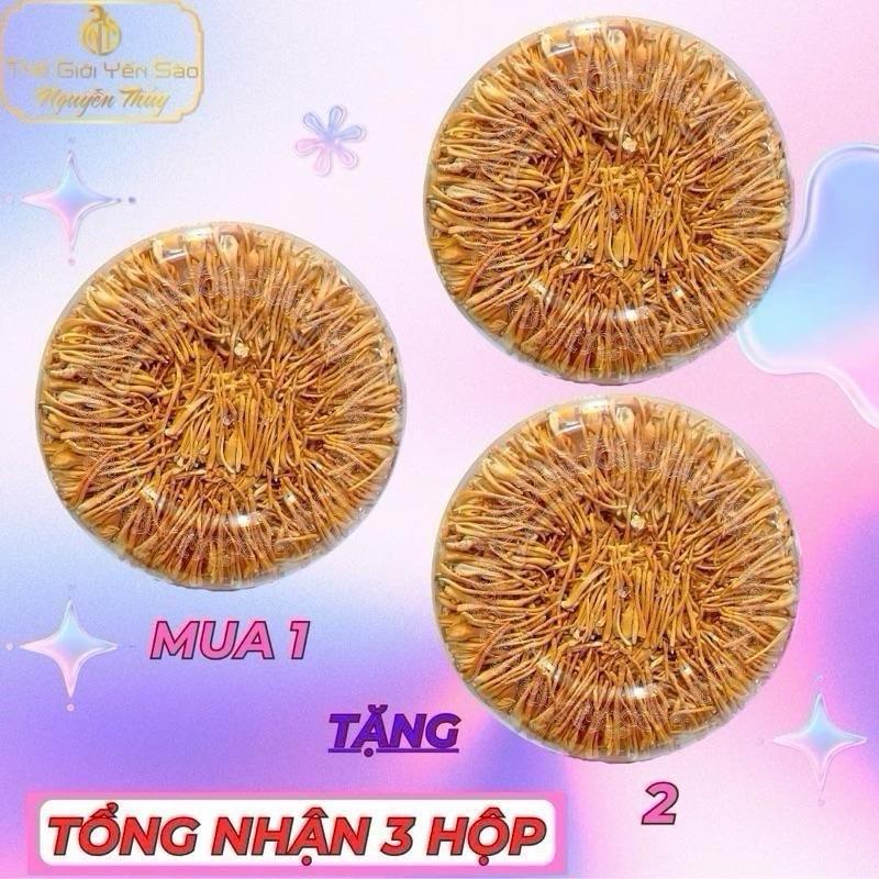 Mua 1 + Tặng 2 - Tổng 3 Hộp: Mỗi Hộp 30gr Nấm Đông Trùng Hạ Thảo Xô
