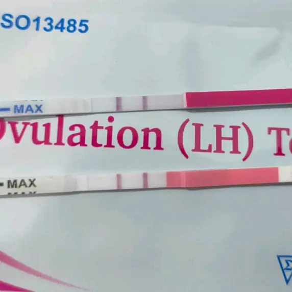 Ovutes Alat Tes Masa Subur Deteksi Cepat dan Akurat - Alat Uji Kesuburan/Ovulasi 3