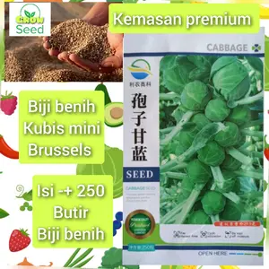 kemasan pabrik biji benih tanaman sayuran kubis mini Brussels impor f1