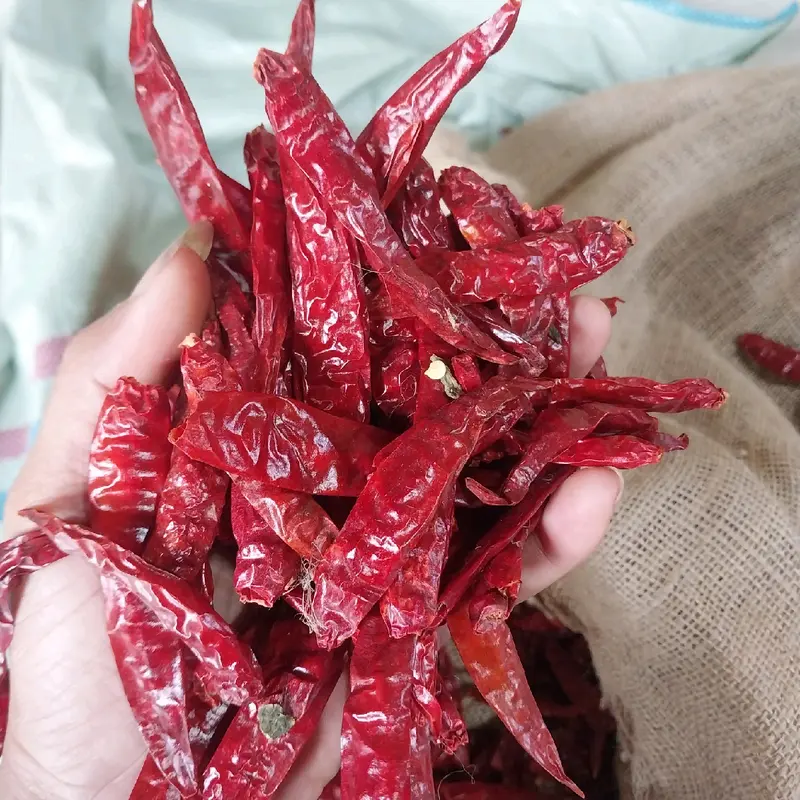 [2kg] Cabe Rawit Merah Kering MEDIUM Teja Japlak impor Super Pedas Food Goreng 3