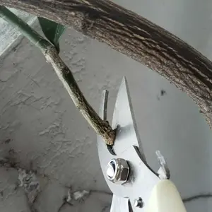 COSY Gunting Dahan Ranting Pohon Pruning Alat Potongg Dahan Ranting Rating Pohon Gunting Tanaman Tajam Super