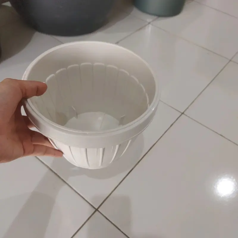 pot tanam hias bunga & buah 1