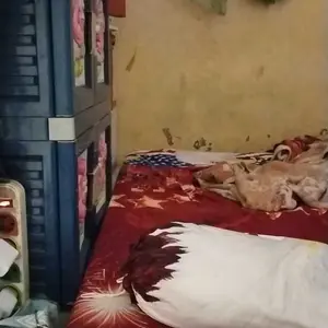 Mainan Anak Telur Jaring Berhadiah isi 20pcs