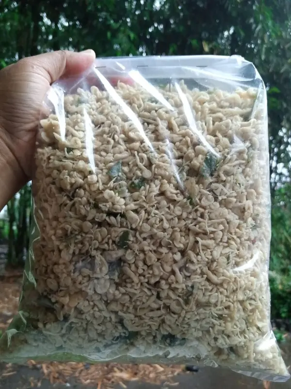 REMUKAN KRIPIK BAYAM/KREMESAN KEMASAN 1KG 1