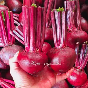 Buah Bit Fresh Kualitas Super 1Kg