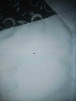 Product Review of BAJU KOKO PRIA DEWASA LENGAN PENDEK TERBARU KOMBINASI BATIK Motif Muslim  Katun Kurta Panjang from R**i R**i 0