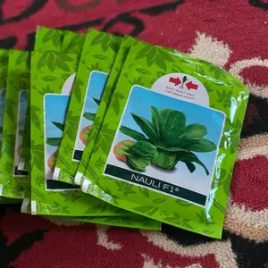 Benih Bibit Caisim Sawi Nauli F1 (Caisim Sawi Sendok Pakcoy) Tidak Pahit, Perawatan Mudah Isi 10 Gram Kadaluarsa 2026 - Cap Panah Merah