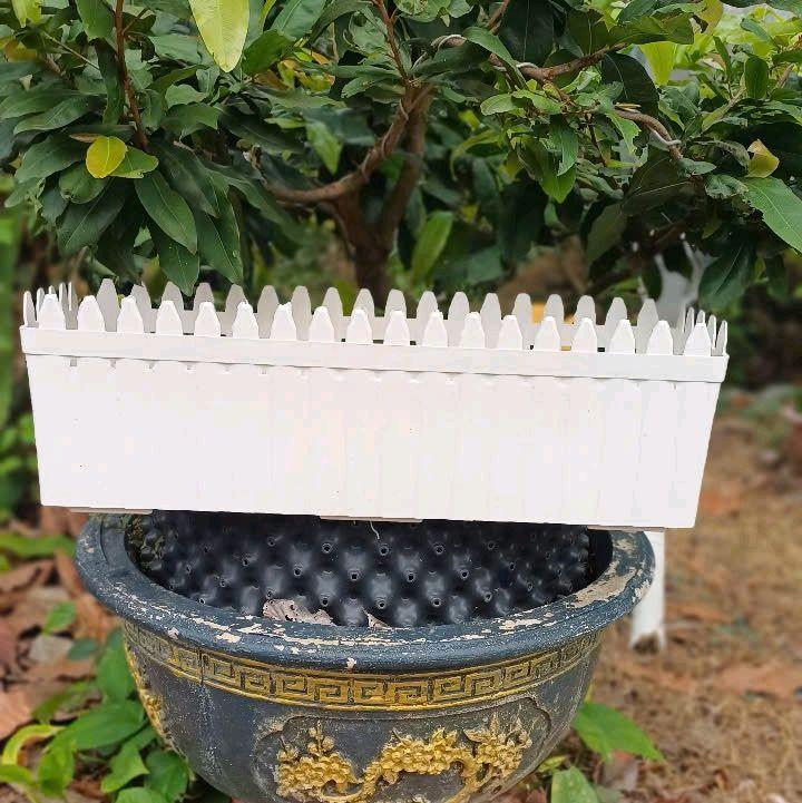  combo 2 cai chậu nhựa hàng rào bằng nhựa trồng cây siêu đẹp 