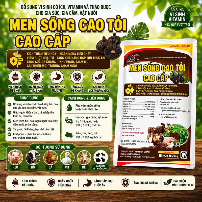 Men cao tỏi cao cấp 1kg trộn thức ăn cho gà, vịt, heo hỗ trợ tiêu hóa, hấp thu…