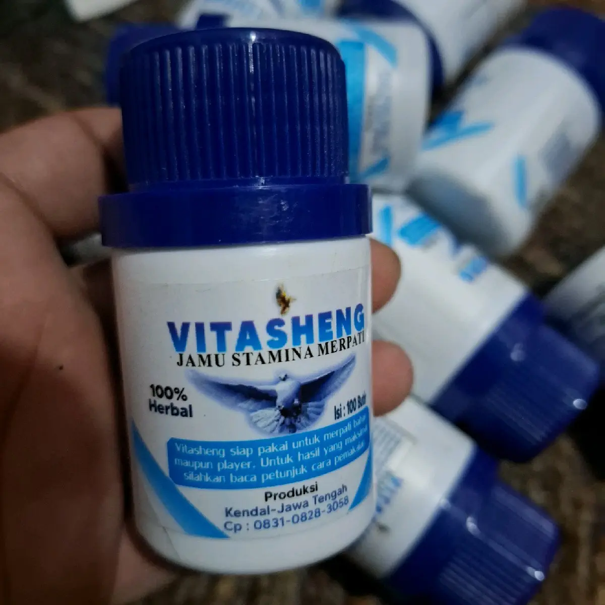 VITASHENG JAMU MERPATI KHUSUS STAMINA