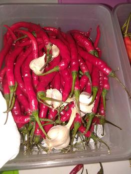 Product Review of Cabe CAMPUR 1kg. Rawit 500gr & Kriting 500gr from f**. p** 1