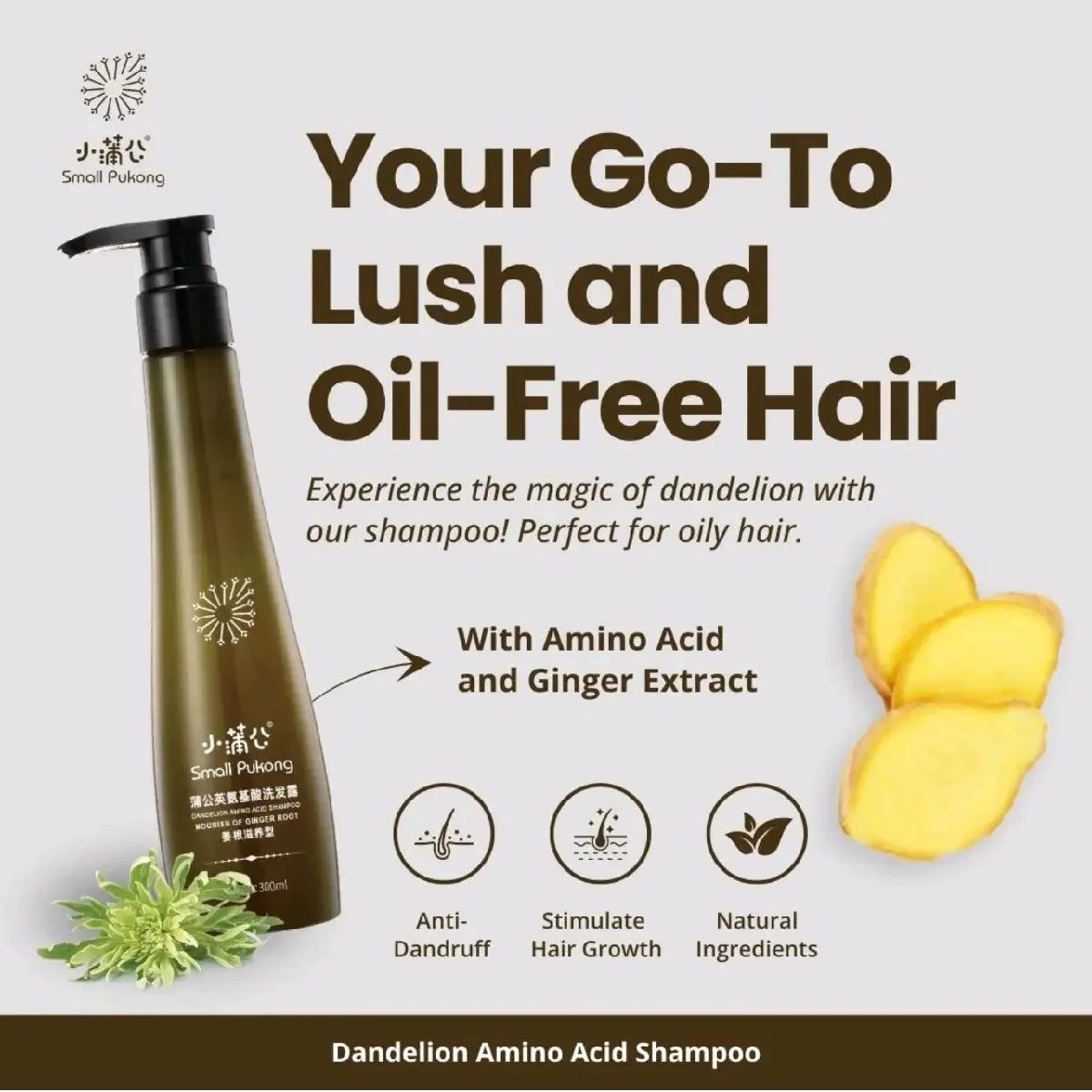 Small Pukong Ginger Shampoo and Daily Hairmask Haircare Conditioner hair growth